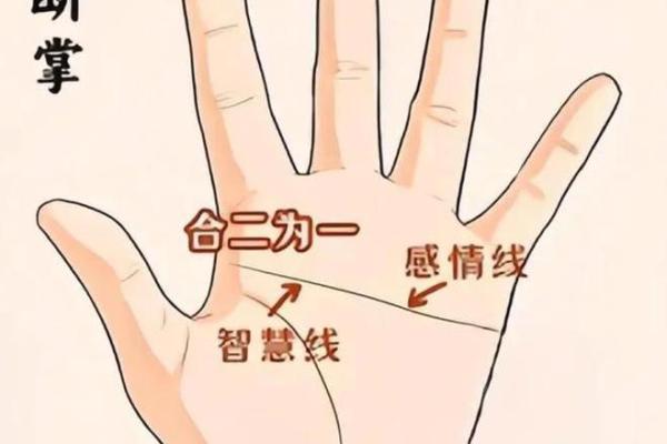 男人十个斗:揭示你命运的秘密与生活智慧 男人十个斗:揭示你命运的秘密与生活智慧