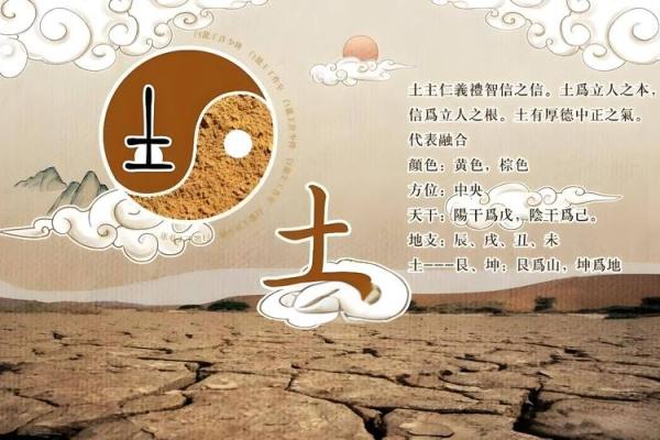 明年老鼠命五行缺失分析:如何助力运势提升? 明年老鼠命五行缺失分析:如何助力运势提升?