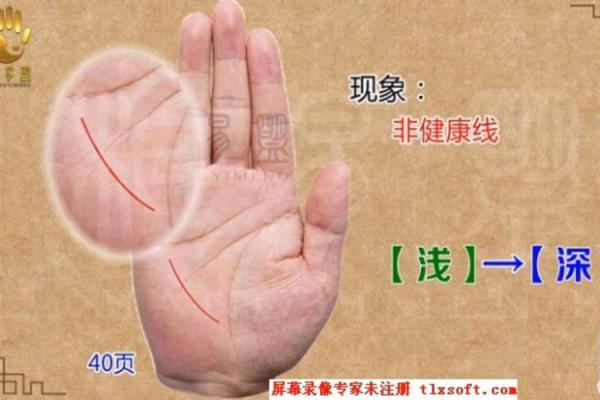 命理财运解析:如何通过命理提升财富运势? 命理财运解析:如何通过命理提升财富运势?