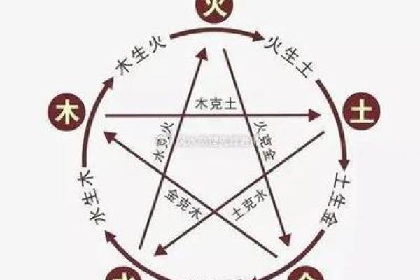 木命人适合与哪些命人交往,携手共创美好人生 木命人适合与哪些命人交往,携手共创美好人生
