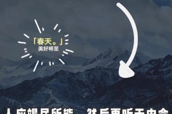 木命人适合与哪些命人交往,携手共创美好人生 木命人适合与哪些命人交往,携手共创美好人生