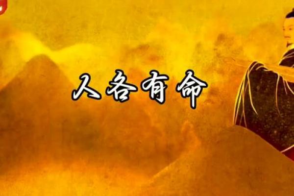 以“木”为名的命运:探寻木命的深邃魅力与人生智慧 以“木”为名的命运:探寻木命的深邃魅力与人生智慧
