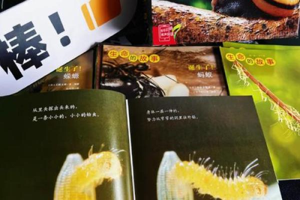 蚂蚁的命:微小生命中的大智慧与生存之道 蚂蚁的命:微小生命中的大智慧与生存之道