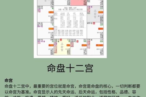命残解析:探寻命运与生命的深刻内涵与影响 命残解析:探寻命运与生命的深刻内涵与影响