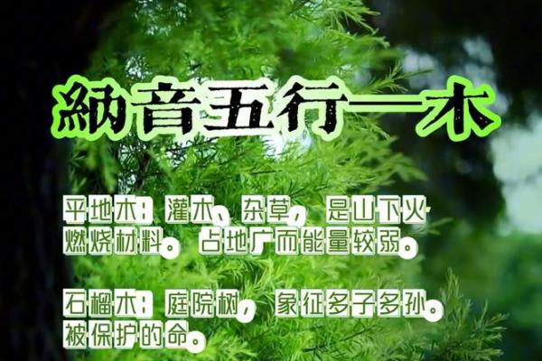 木命人适合与什么命的人配对:寻觅心灵的契合之旅 木命人适合与什么命的人配对:寻觅心灵的契合之旅