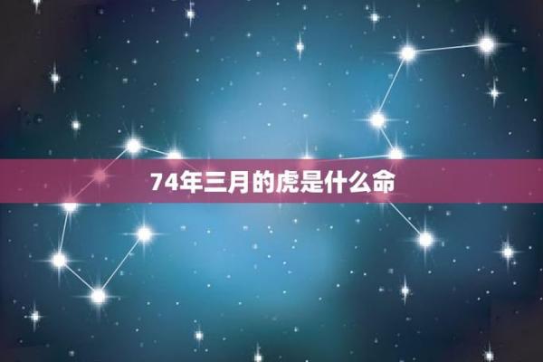 农历三月二十六出生的属虎人,命运与性格的深度解析 农历三月二十六出生的属虎人,命运与性格的深度解析