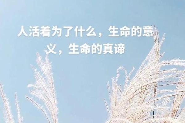 命理学视角下的运气:解码人生的机遇与挑战 命理学视角下的运气:解码人生的机遇与挑战