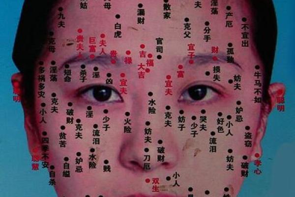 揭开农历二月出生女性的命运之谜,探索独特的个性与运势 揭开农历二月出生女性的命运之谜,探索独特的个性与运势