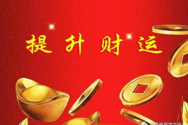 木命人适合的生意:开启你的财运之门! 木命人适合的生意:开启你的财运之门!