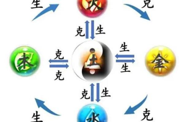 揭秘木命人最佳财运:如何选择适合的命理组合! 揭秘木命人最佳财运:如何选择适合的命理组合!