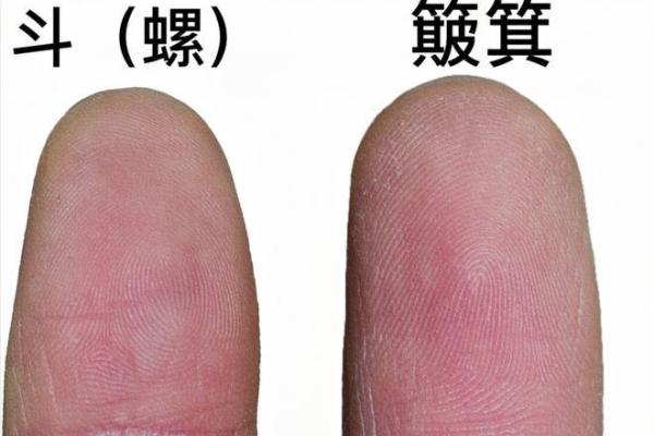 命局中的财星:解密财富与事业的奥秘 命局中的财星:解密财富与事业的奥秘
