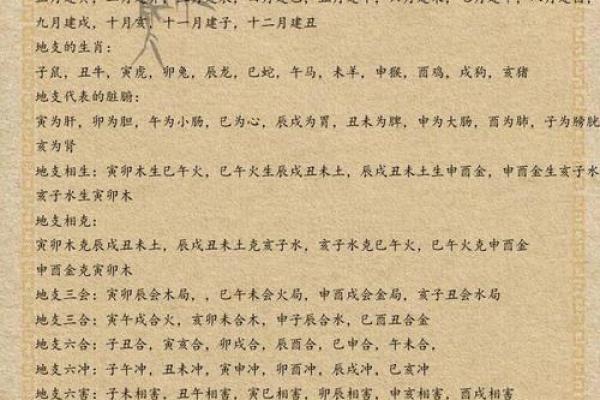 揭开命理之谜:命坐地支的深层含义与影响 揭开命理之谜:命坐地支的深层含义与影响