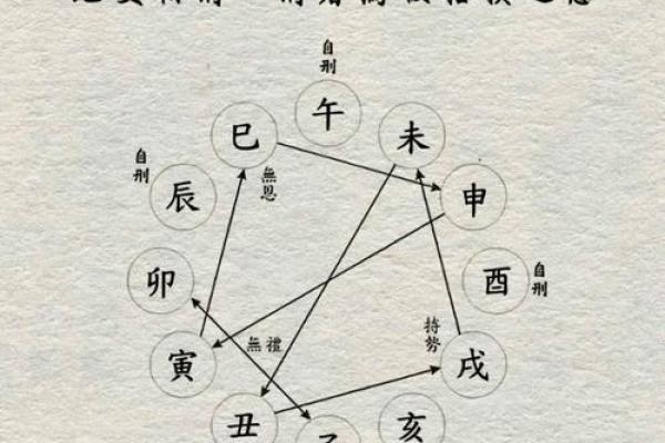揭开命理之谜:命坐地支的深层含义与影响 揭开命理之谜:命坐地支的深层含义与影响
