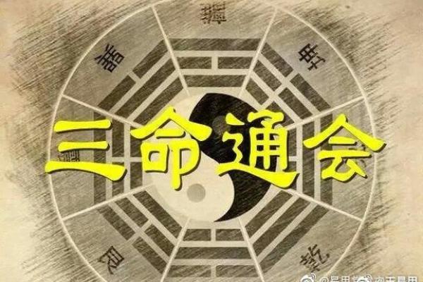 炉中火命的女人适合养什么?揭开五行与宠物之间的奥秘! 炉中火命的女人适合养什么?揭开五行与宠物之间的奥秘!