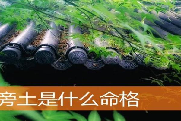 路旁土命:探索土命的奥秘与生活基调 路旁土命:探索土命的奥秘与生活基调