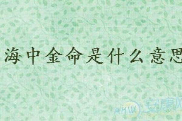 命中带金,走向繁荣:探秘命理中金命的独特魅力 命中带金,走向繁荣:探秘命理中金命的独特魅力