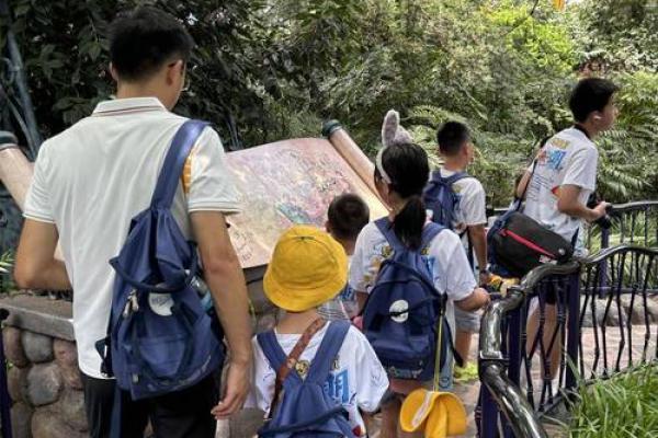 命里喜金土的探索之旅:生活中的选择与成长 命里喜金土的探索之旅:生活中的选择与成长