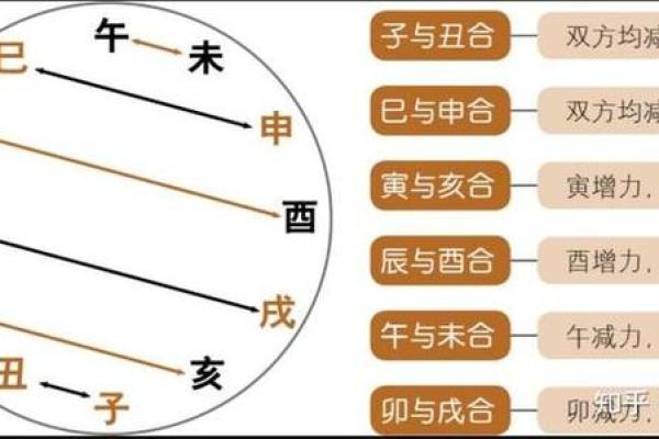 男命地支多合的奥秘与人生启示 男命地支多合的奥秘与人生启示