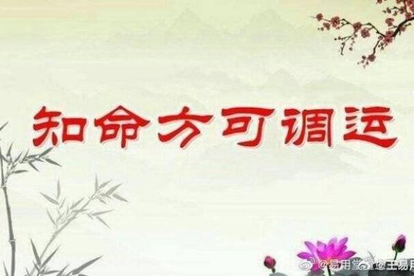 财旺杀旺的命局解读:把握运势,助你更好地理财与投资 财旺杀旺的命局解读:把握运势,助你更好地理财与投资