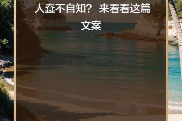 从迷茫到觉悟,我选择信命的那一刻 从迷茫到觉悟,我选择信命的那一刻
