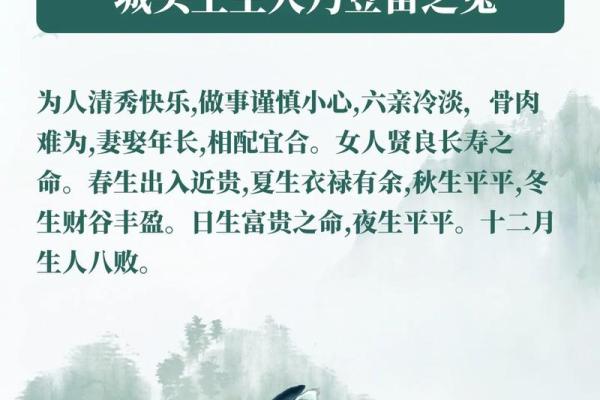 明年出生男孩的命运:解密2024年的生肖与命理 明年出生男孩的命运:解密2024年的生肖与命理