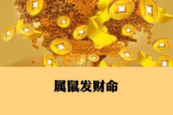 明年出生男孩的命运:解密2024年的生肖与命理 明年出生男孩的命运:解密2024年的生肖与命理