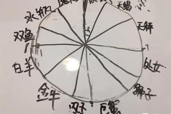 梅花之命:揭秘命格的奥秘与内涵 梅花之命:揭秘命格的奥秘与内涵
