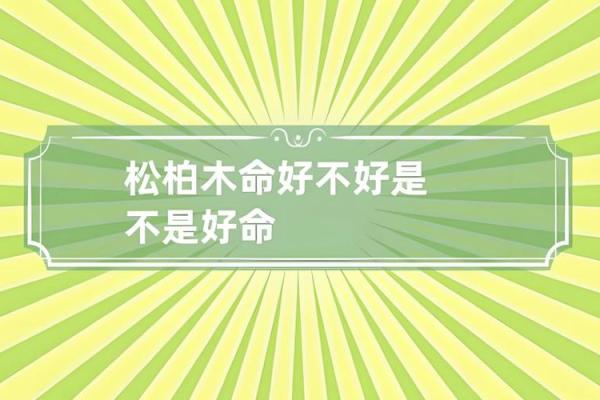 木命人最需的颜色:助力成长与运势的秘密分享 木命人最需的颜色:助力成长与运势的秘密分享