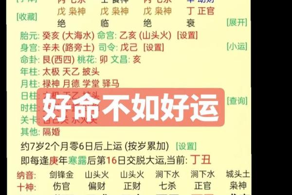 木命人最需的颜色:助力成长与运势的秘密分享 木命人最需的颜色:助力成长与运势的秘密分享