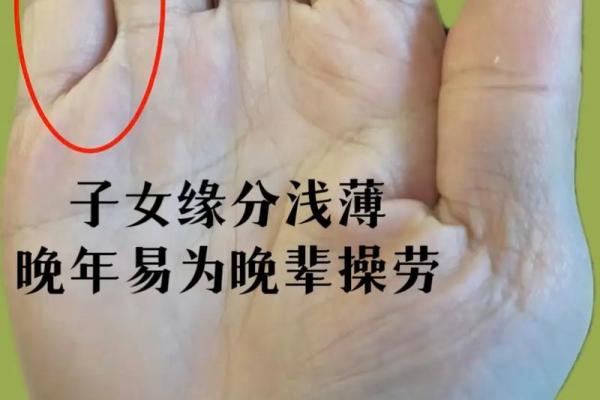 女人手上七个斗是什么命?解密手相背后的秘密与人生指引! 女人手上七个斗是什么命?解密手相背后的秘密与人生指引!