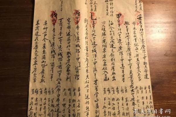 探讨命理:命与命意的深刻含义与生活启示 探讨命理:命与命意的深刻含义与生活启示