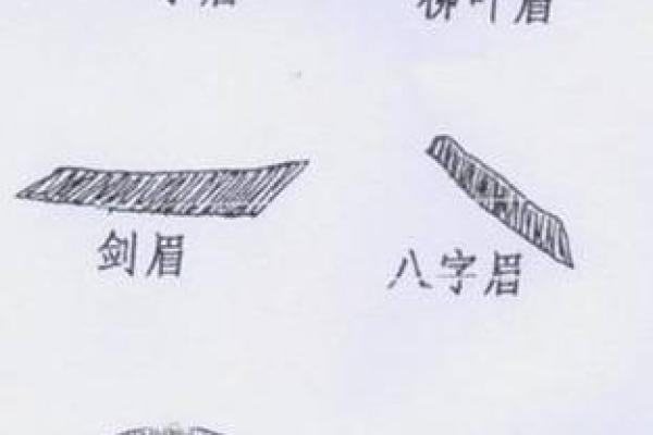 从眉毛看命运:解读男人眉毛的长短与人生轨迹 从眉毛看命运:解读男人眉毛的长短与人生轨迹