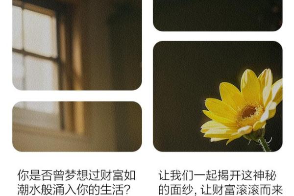 从八字看女命与婆婆发财的关系,揭秘影响财富的深层原因 从八字看女命与婆婆发财的关系,揭秘影响财富的深层原因