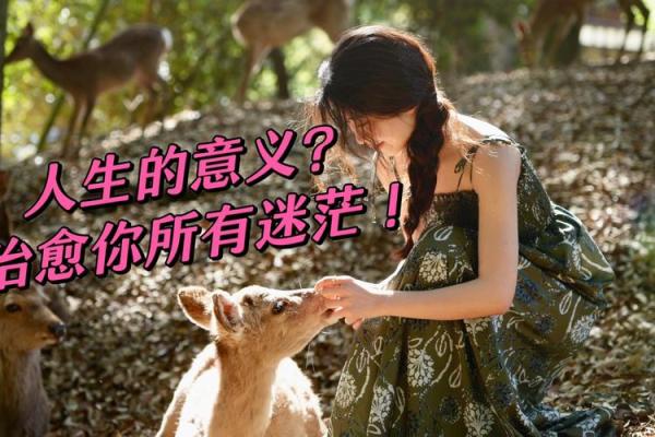 没有了命,我们还要钱做什么?探讨人生的真正价值与意义 没有了命,我们还要钱做什么?探讨人生的真正价值与意义