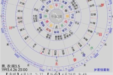 明年发财的命理解析：哪些命格将迎来财富机遇？