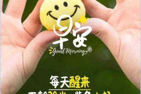 命的一半加羽，释开心灵的自由与梦想