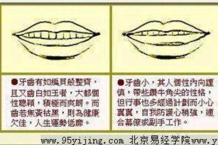 木命的旺盛时期与人生运势的关系探讨