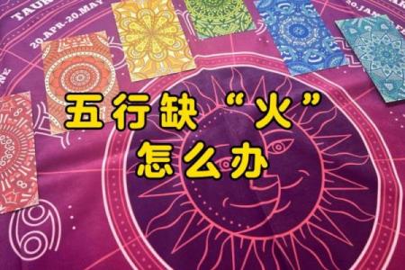 炉中火命人适合的生意及发展方向探讨