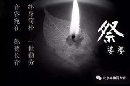 命很轻薄，人生如梦：探讨生命的脆弱与价值