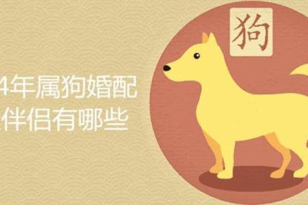 路旁土命的最佳结婚时间，幸福人生的开端！