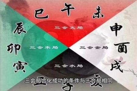 命局四支合一支，探索命运的深奥密码