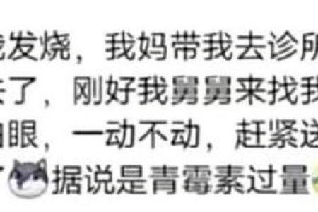 命硬的人生哲学：从“命啊命硬啊硬”中寻找勇气与信念
