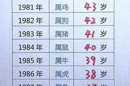 女属猴五月十二，命理解析与人生运势