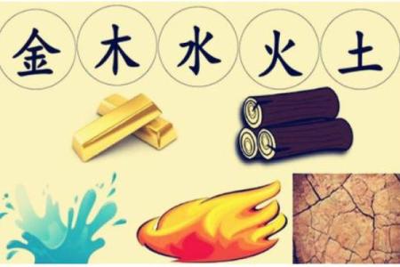 揭秘木命人最佳财运：如何选择适合的命理组合！