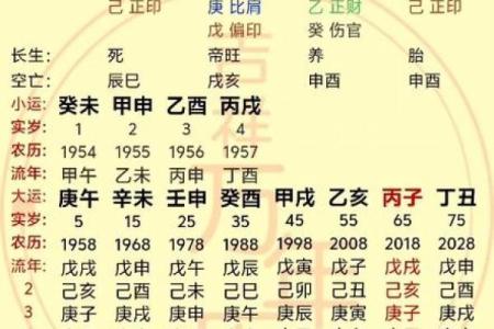 命局中的财星：解密财富与事业的奥秘