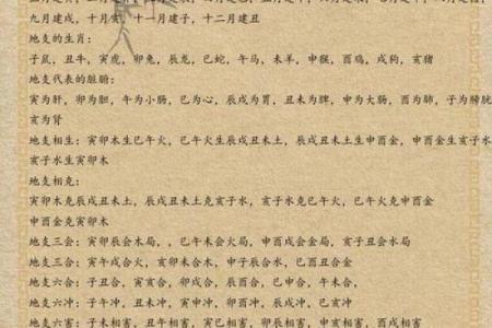揭开命理之谜：命坐地支的深层含义与影响