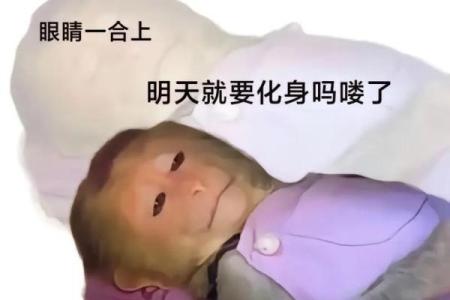 马喽的命也是命：探索生命的无奈与幽默