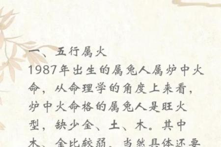 炉中火命的女人适合养什么？揭开五行与宠物之间的奥秘！
