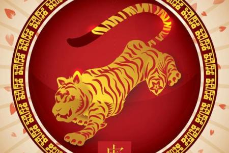 明天兔年出生的人命运解析：兔年的独特性与新生机遇