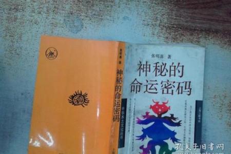 揭开女人龙女命的神秘面纱，探索她们独特的人生轨迹与命运密码